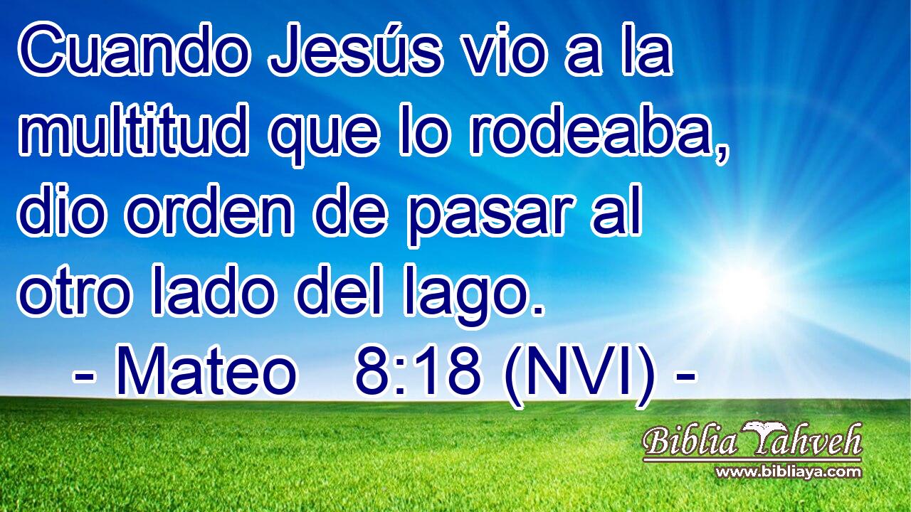  Cuando Jesús vio a la multitud que lo rodeaba, dio orden de pasar al otro lado del lago. 