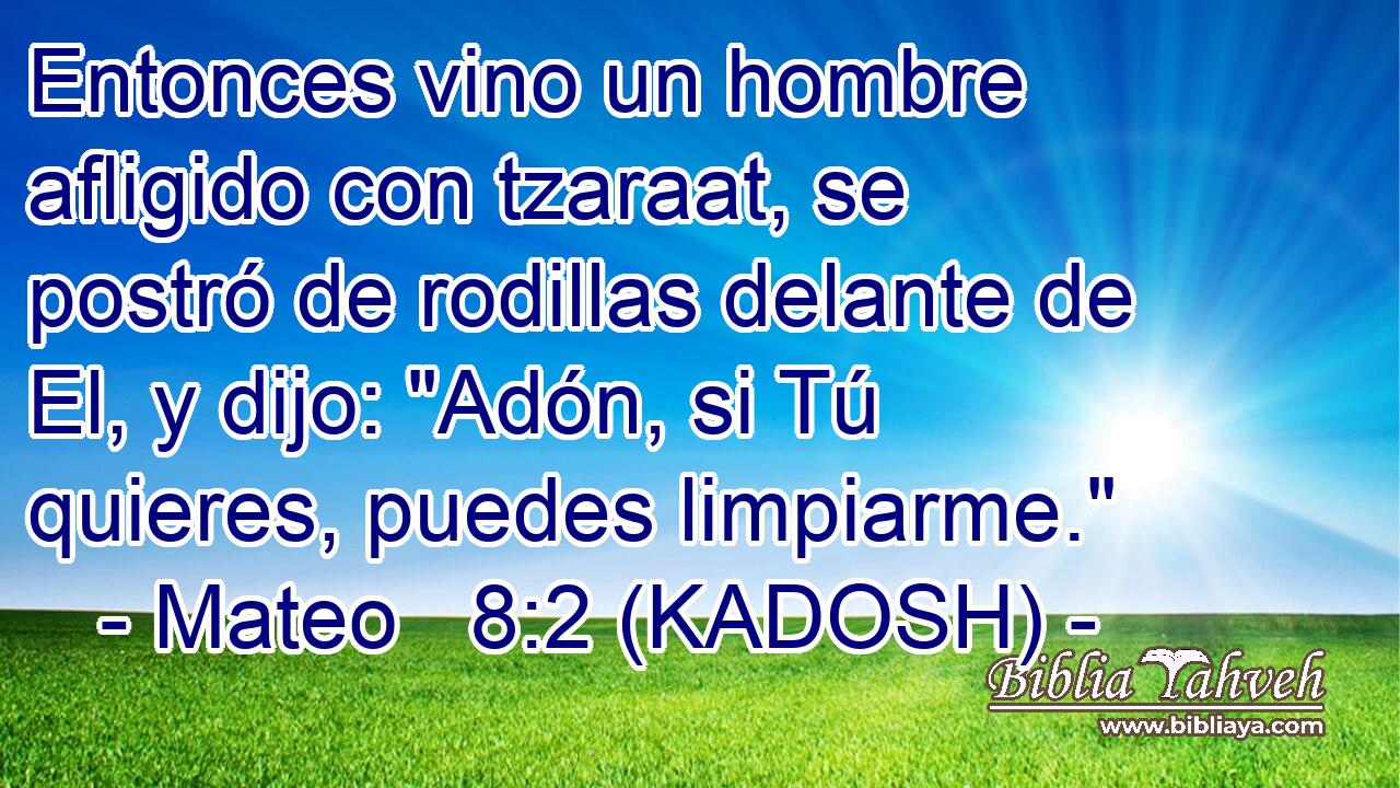  Entonces vino un hombre afligido con tzaraat, se postró de rodillas delante de El, y dijo: 