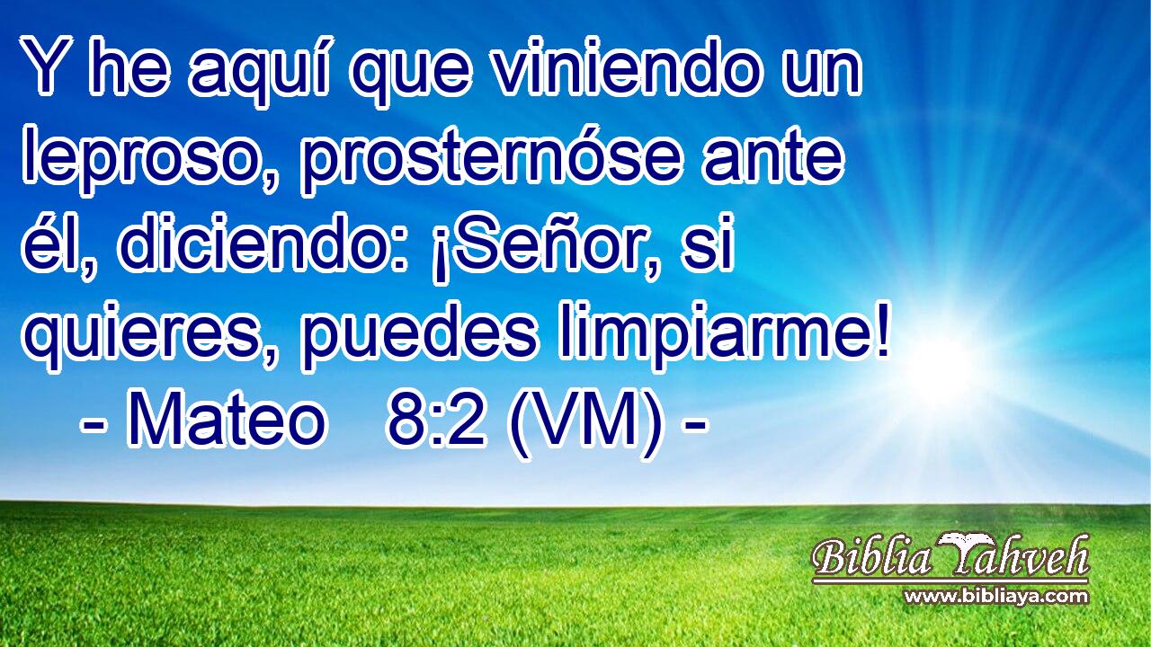  Y he aquí que viniendo un leproso, prosternóse ante él, diciendo: ¡Señor, si quieres, puedes limpiarme! 