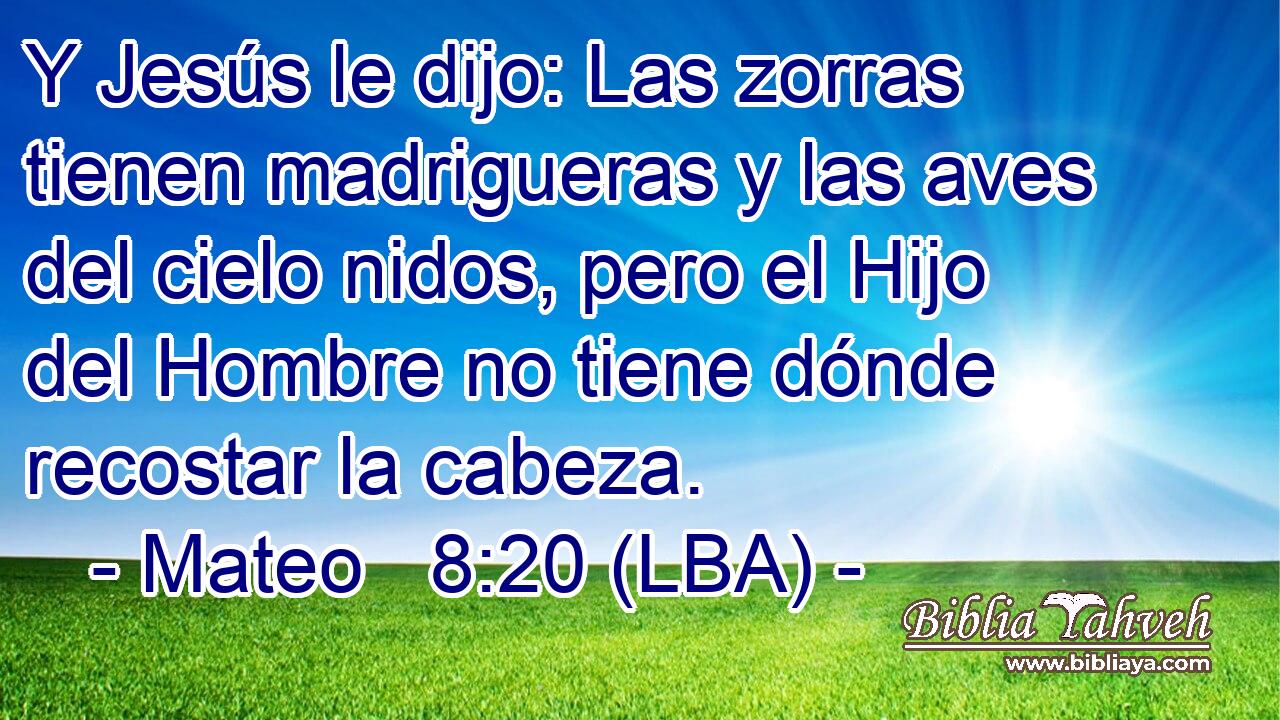 Y Jesús le dijo: Las zorras tienen madrigueras y las aves del cielo nidos, pero el Hijo del Hombre no tiene dónde recostar la cabeza.