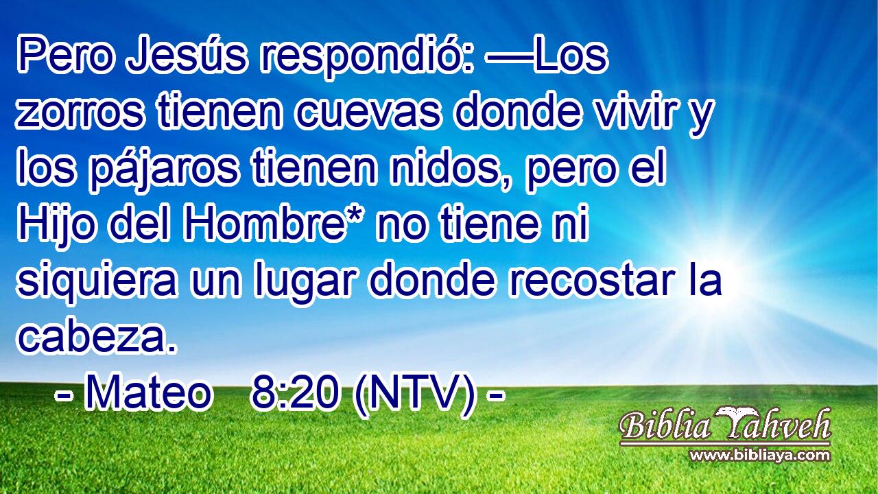 Pero Jesús respondió: —Los zorros tienen cuevas donde vivir y los pájaros tienen nidos, pero el Hijo del Hombre* no tiene ni siquiera un lugar donde recostar la cabeza.