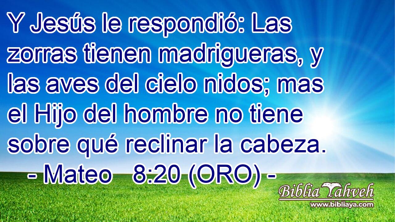  Y Jesús le respondió: Las zorras tienen madrigueras, y las aves del cielo nidos; mas el Hijo del hombre no tiene sobre qué reclinar la cabeza. 