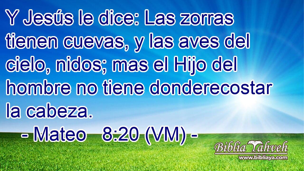 Mateo 8:20 (VM) - Y Jesús le dice: Las zorras tienen cuevas, y...