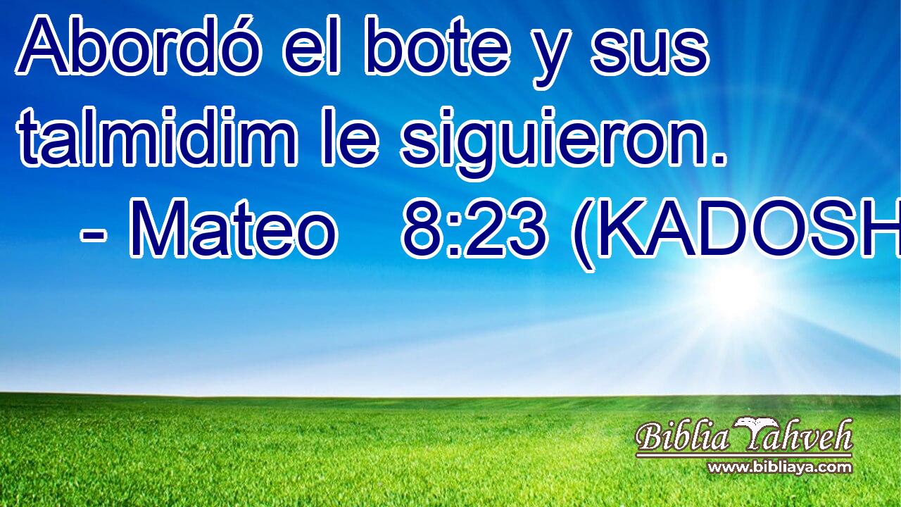  Abordó el bote y sus talmidim le siguieron. 