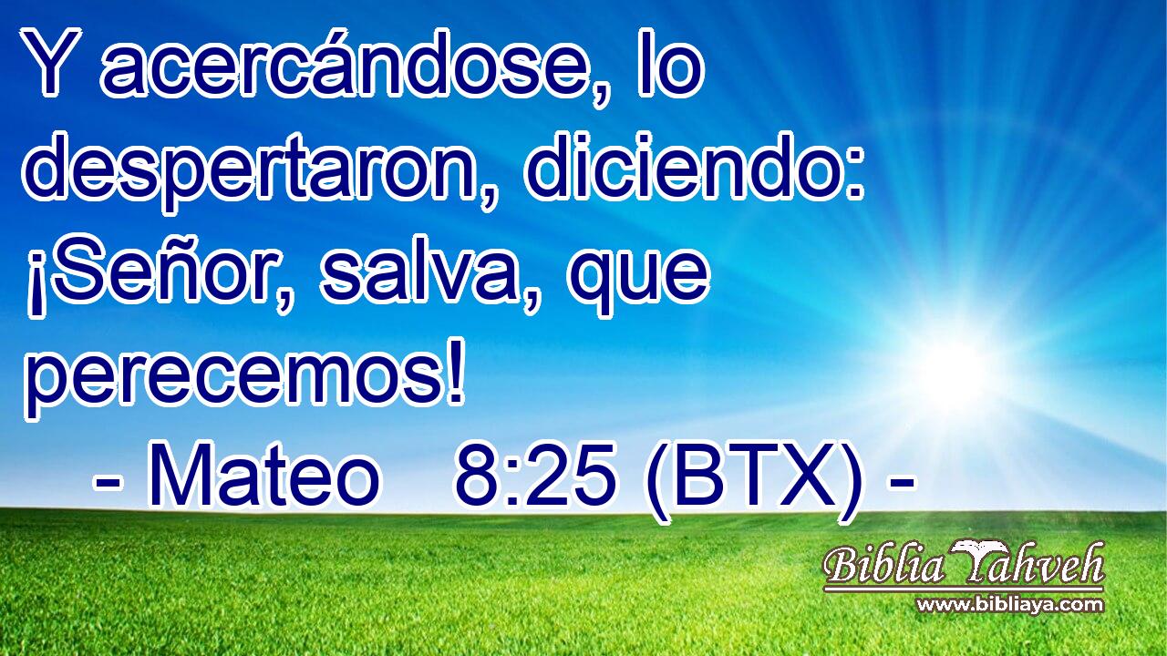 Y acercándose, lo despertaron, diciendo: ¡Señor, salva, que perecemos!