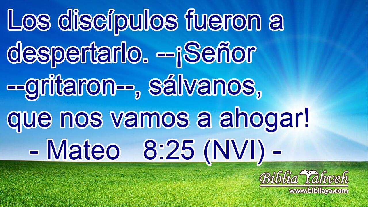  Los discípulos fueron a despertarlo. --¡Señor --gritaron--, sálvanos, que nos vamos a ahogar! 