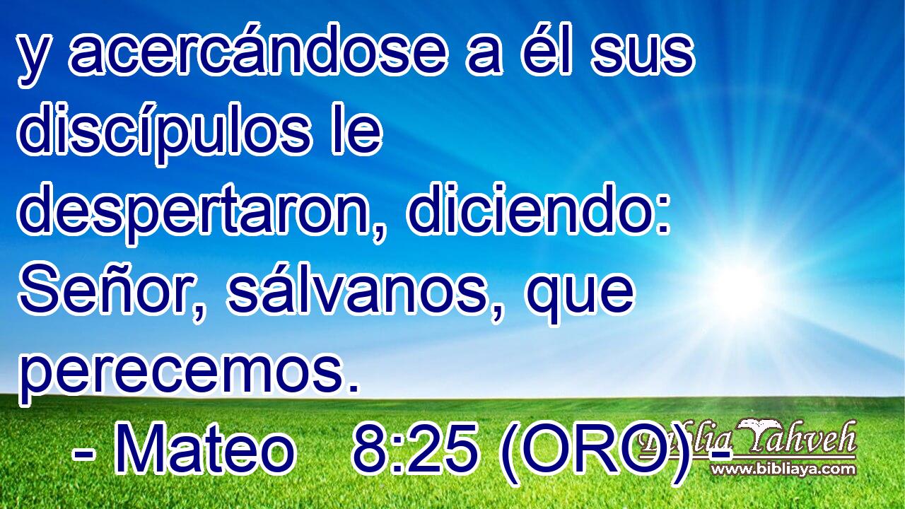  y acercándose a él sus discípulos le despertaron, diciendo: Señor, sálvanos, que perecemos. 