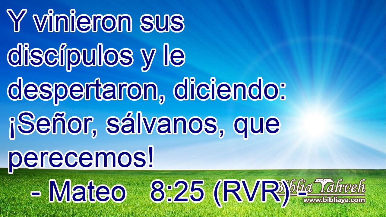 Y vinieron sus discípulos y le despertaron, diciendo: ¡Señor, sálvanos, que perecemos!