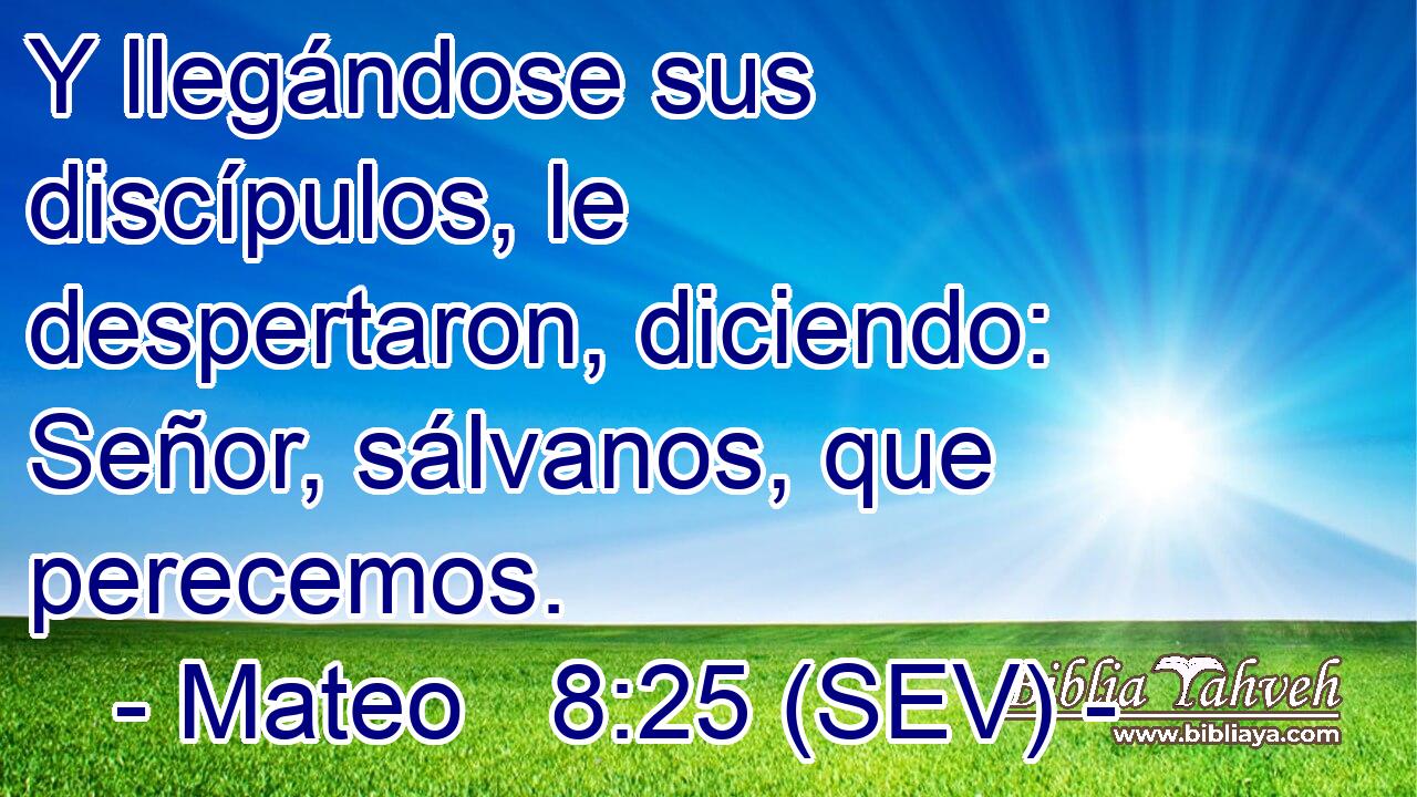 Y llegándose sus discípulos, le despertaron, diciendo: Señor, sálvanos, que perecemos.