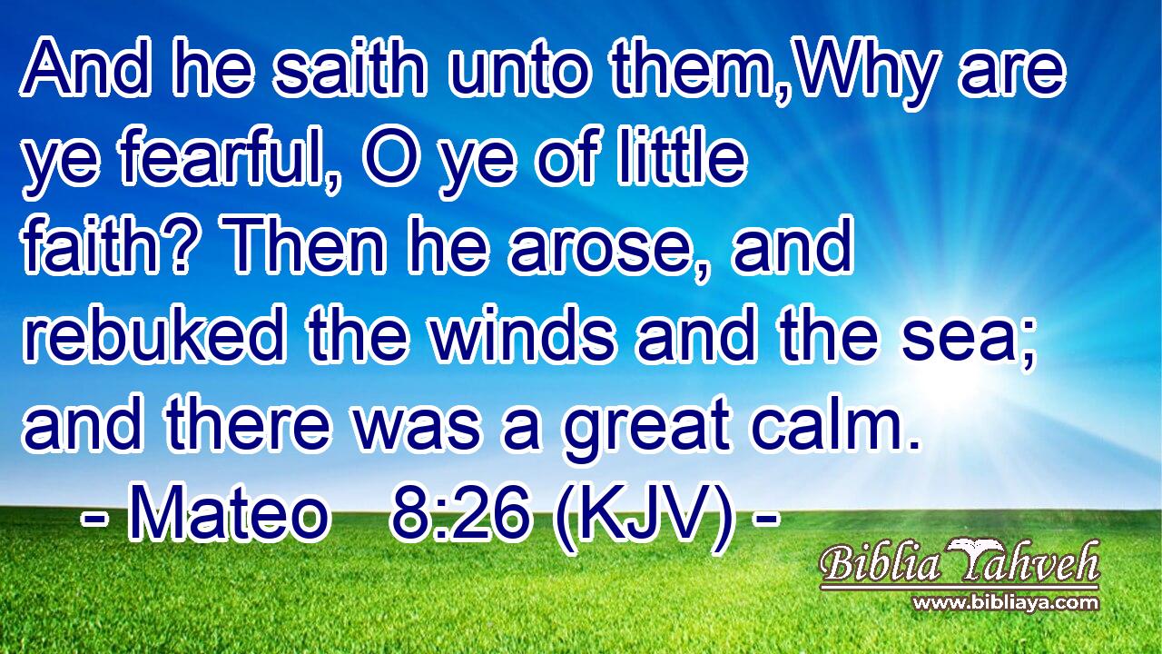 And he saith unto them,Why are ye fearful, O ye of little faith? Then he arose, and rebuked the winds and the sea; and there was a great calm.