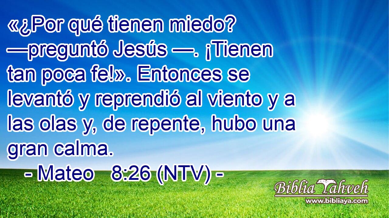 «¿Por qué tienen miedo? —preguntó Jesús —. ¡Tienen tan poca fe!». Entonces se levantó y reprendió al viento y a las olas y, de repente, hubo una gran calma.