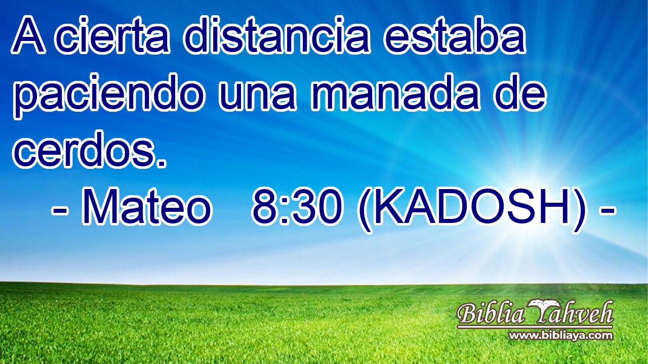  A cierta distancia estaba paciendo una manada de cerdos. 
