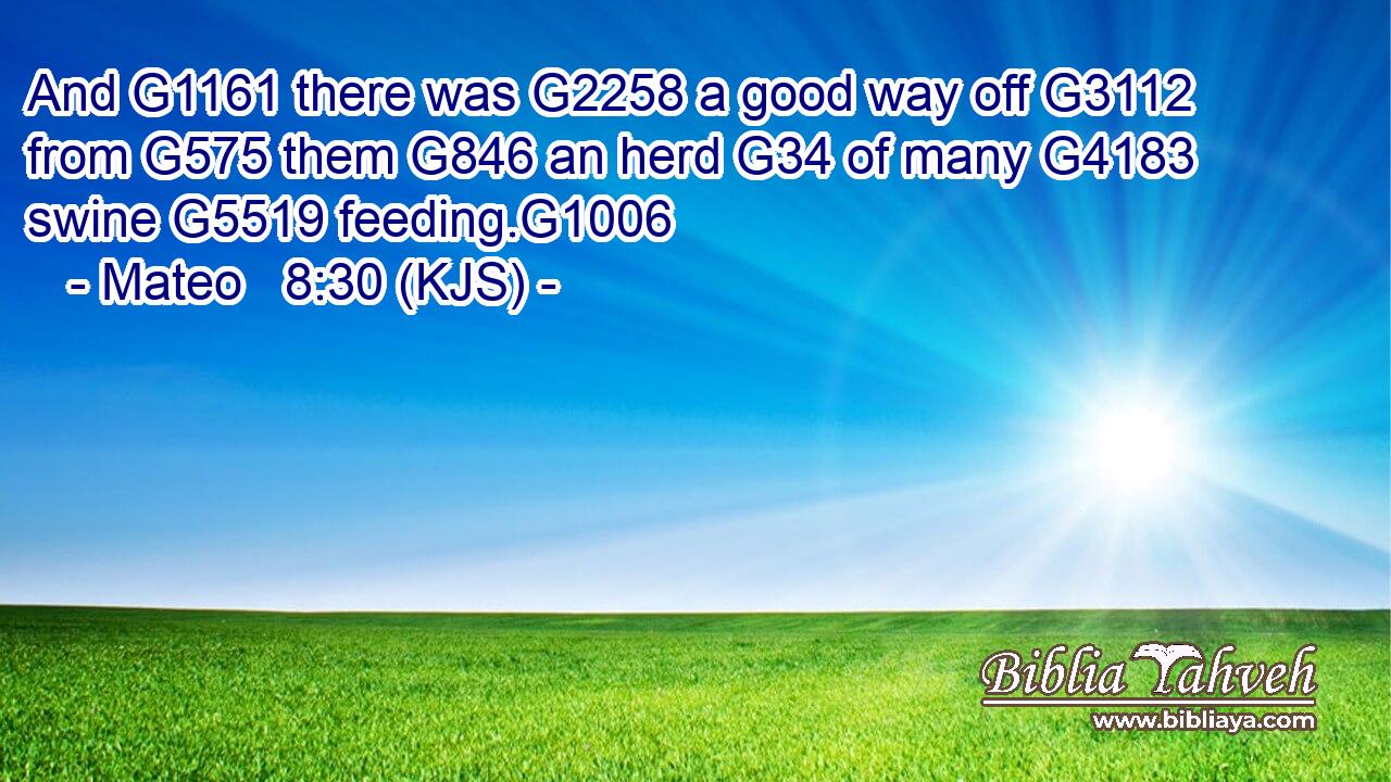 And G1161 there was G2258 a good way off G3112 from G575 them G846 an herd G34 of many G4183 swine G5519 feeding.G1006