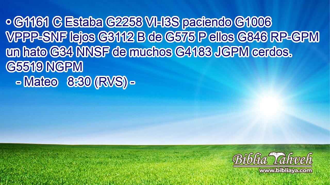 • G1161 C Estaba G2258 VI-I3S paciendo G1006 VPPP-SNF lejos G3112 B de G575 P ellos G846 RP-GPM un hato G34 NNSF de muchos G4183 JGPM cerdos. G5519 NGPM 