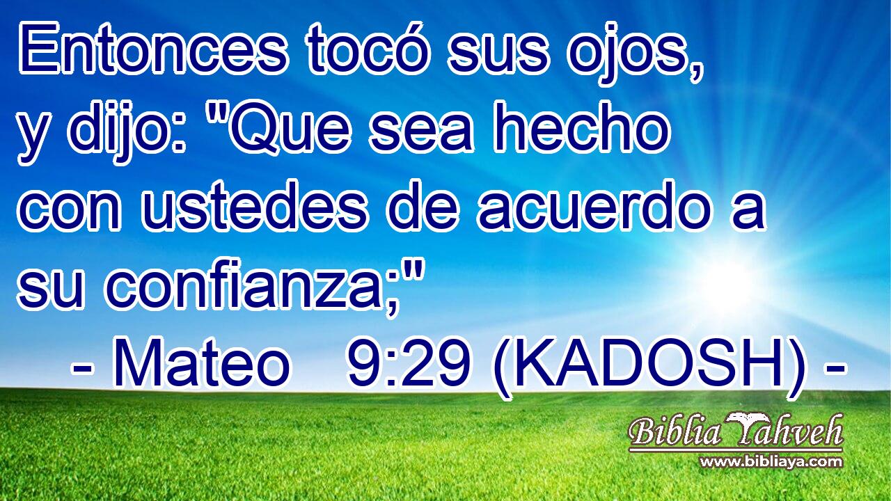  Entonces tocó sus ojos, y dijo: 