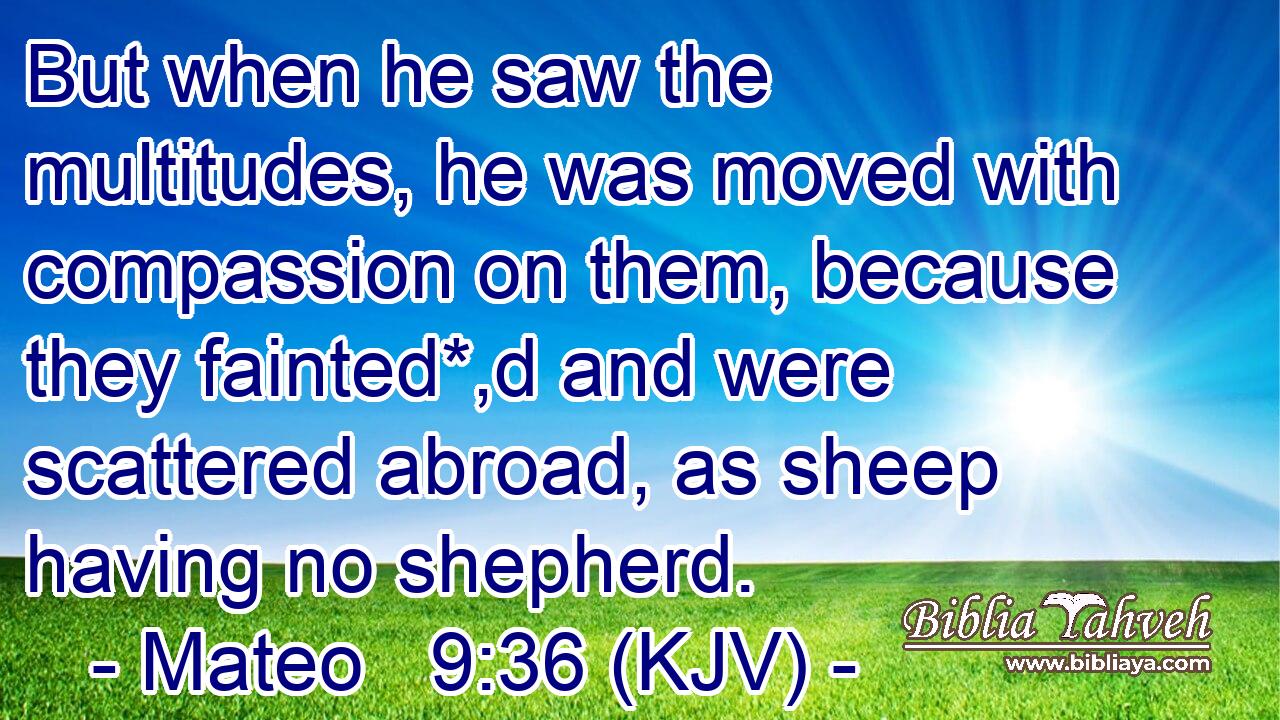 But when he saw the multitudes, he was moved with compassion on them, because they fainted*,d and were scattered abroad, as sheep having no shepherd.