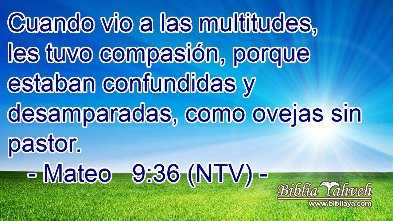 Cuando vio a las multitudes, les tuvo compasión, porque estaban confundidas y desamparadas, como ovejas sin pastor.