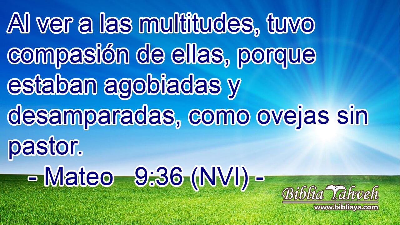  Al ver a las multitudes, tuvo compasión de ellas, porque estaban agobiadas y desamparadas, como ovejas sin pastor. 