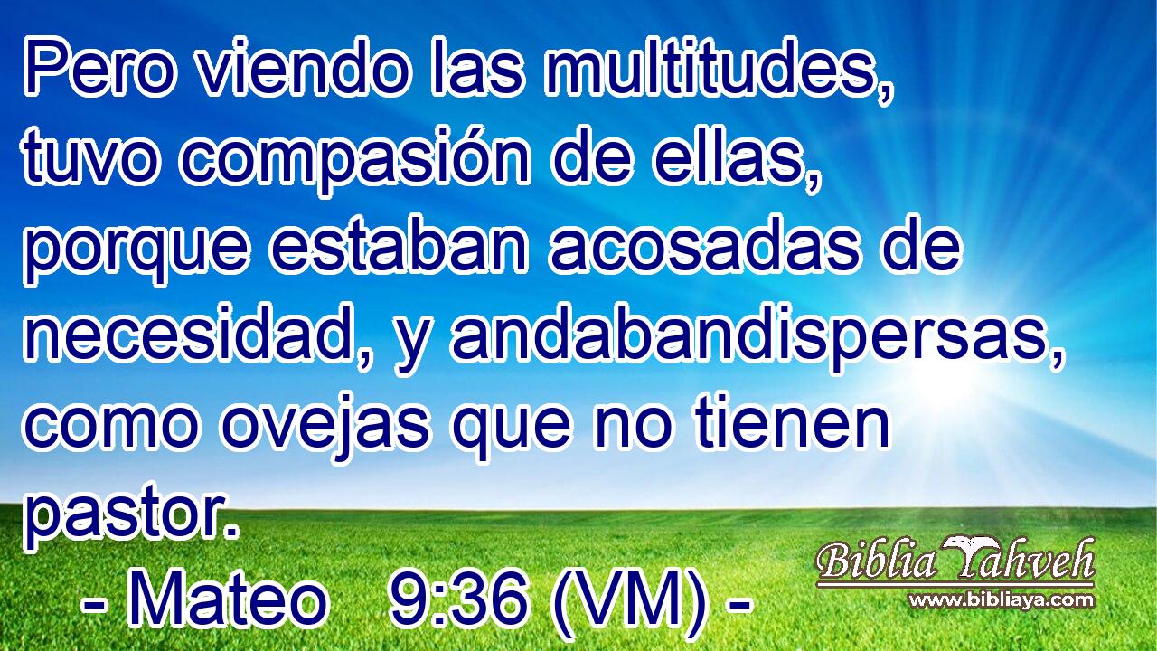  Pero viendo las multitudes, tuvo compasión de ellas, porque estaban acosadas de necesidad, y andabandispersas, como ovejas que no tienen pastor. 