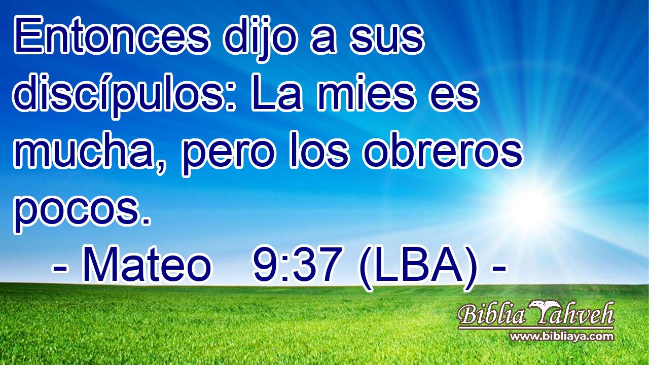 Entonces dijo a sus discípulos: La mies es mucha, pero los obreros pocos.