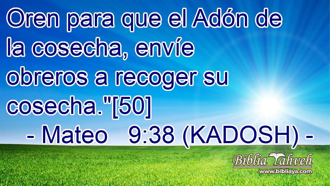  Oren para que el Adón de la cosecha, envíe obreros a recoger su cosecha.