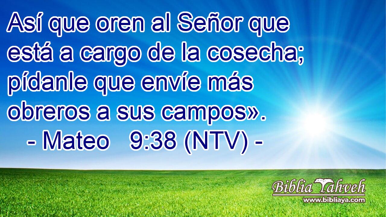 Así que oren al Señor que está a cargo de la cosecha; pídanle que envíe más obreros a sus campos».