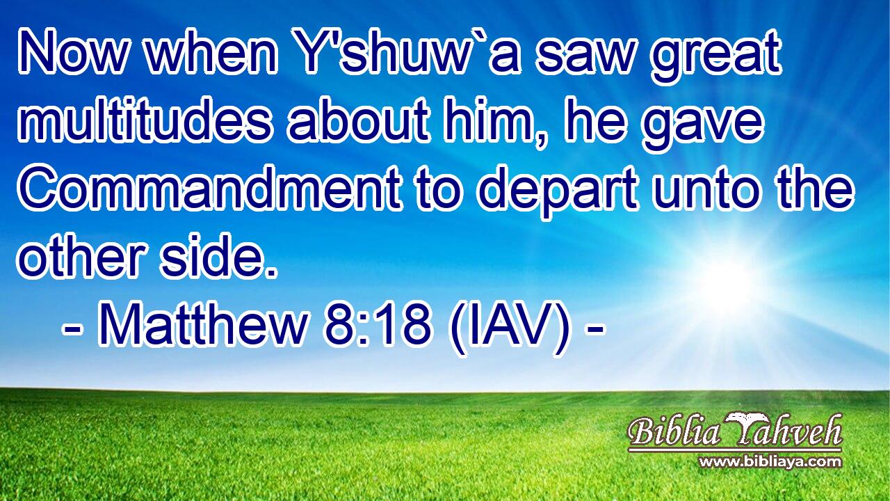  The mind of the wise man makes him eloquent, and augments the persuasiveness of his lips.