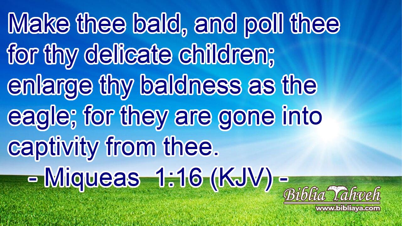 Make thee bald, and poll thee for thy delicate children; enlarge thy baldness as the eagle; for they are gone into captivity from thee.
