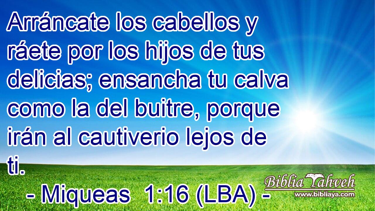 Arráncate los cabellos y ráete por los hijos de tus delicias; ensancha tu calva como la del buitre, porque irán al cautiverio lejos de ti.