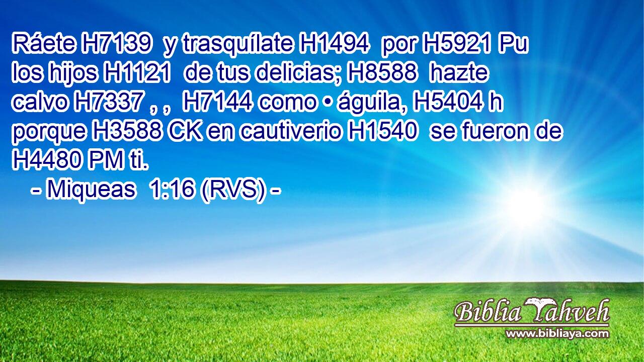 Ráete H7139  y trasquílate H1494  por H5921 Pu los hijos H1121  de tus delicias; H8588  hazte calvo H7337 , ,  H7144 como • águila, H5404 h porque H3588 CK en cautiverio H1540  se fueron de H4480 PM ti. 