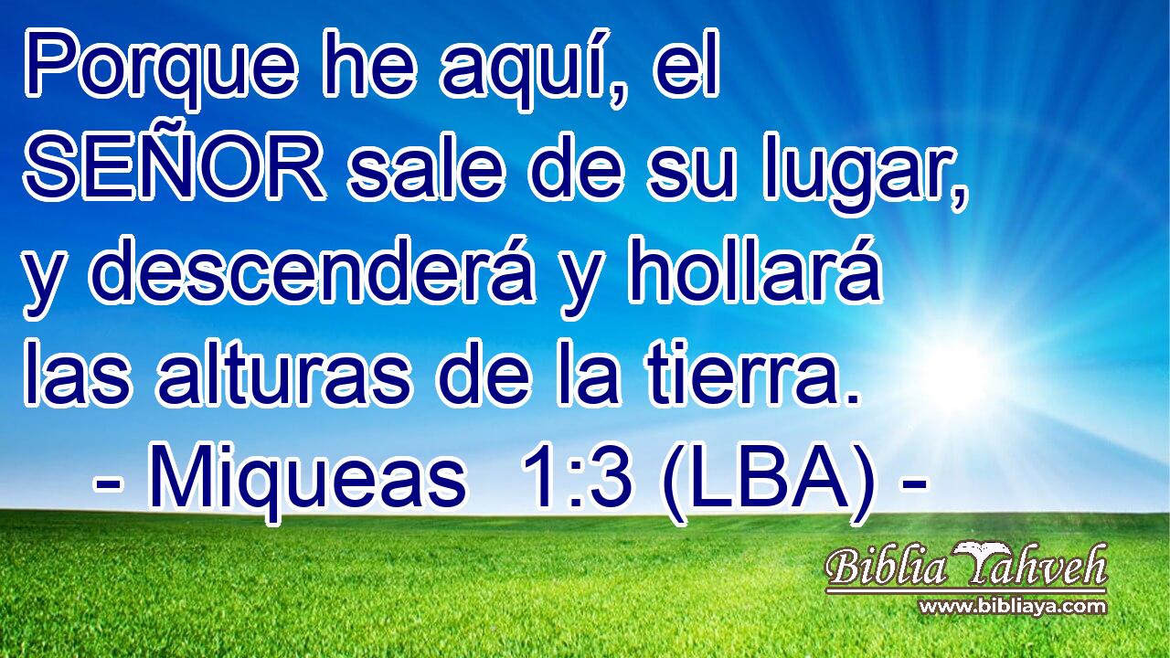 Porque he aquí, el SEÑOR sale de su lugar, y descenderá y hollará las alturas de la tierra.