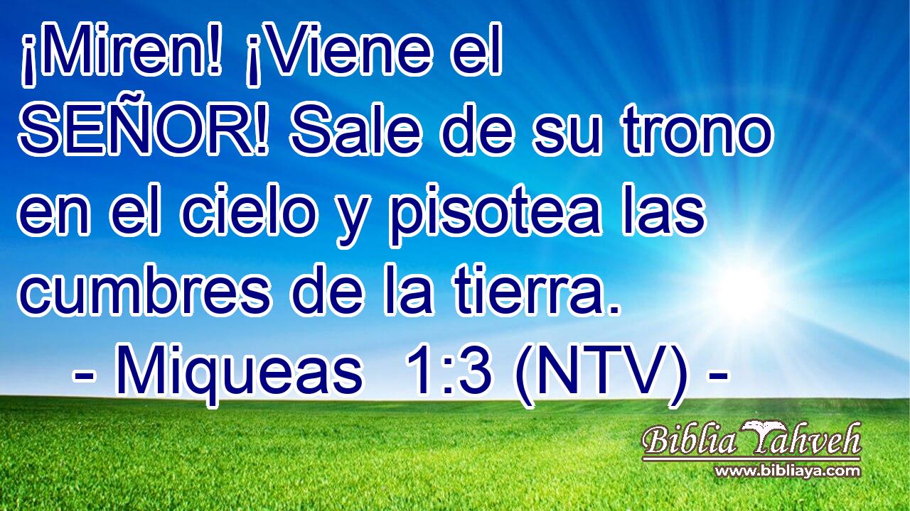 ¡Miren! ¡Viene el SEÑOR! Sale de su trono en el cielo y pisotea las cumbres de la tierra.