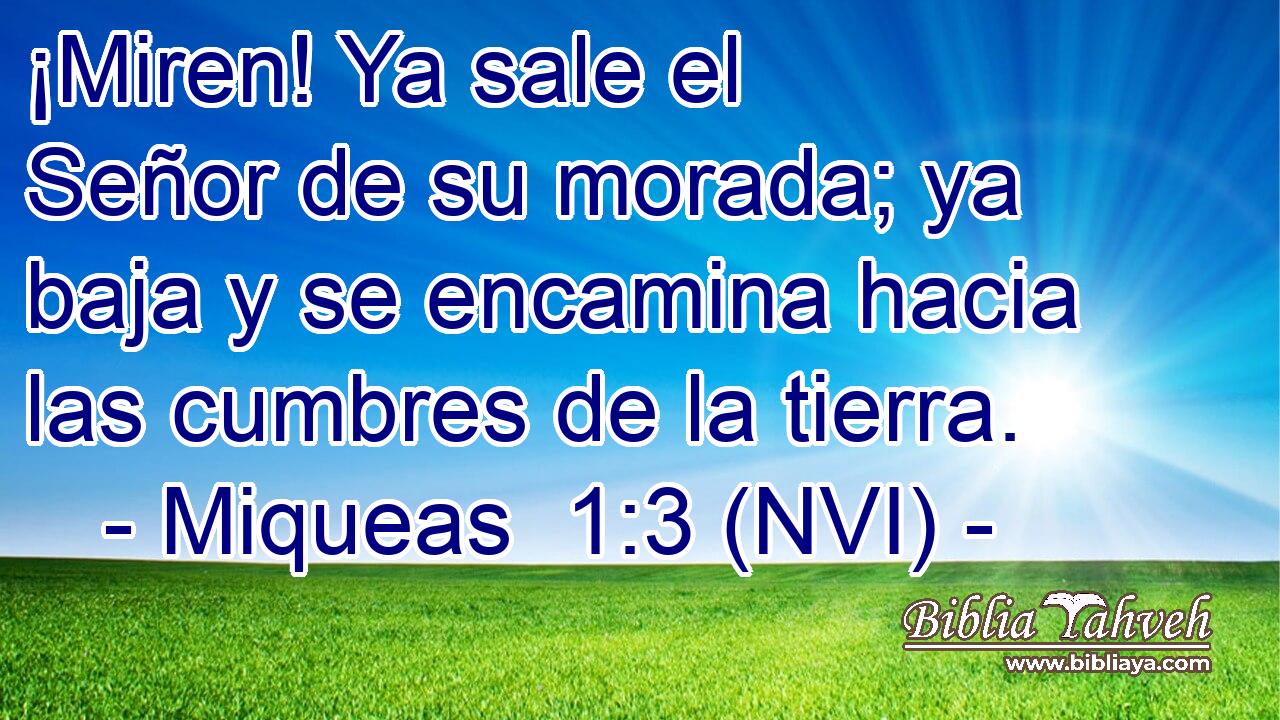  ¡Miren! Ya sale el Señor de su morada; ya baja y se encamina hacia las cumbres de la tierra. 