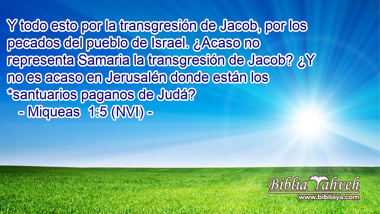  Y todo esto por la transgresión de Jacob, por los pecados del pueblo de Israel. ¿Acaso no representa Samaria la transgresión de Jacob? ¿Y no es acaso en Jerusalén donde están los *santuarios paganos de Judá? 