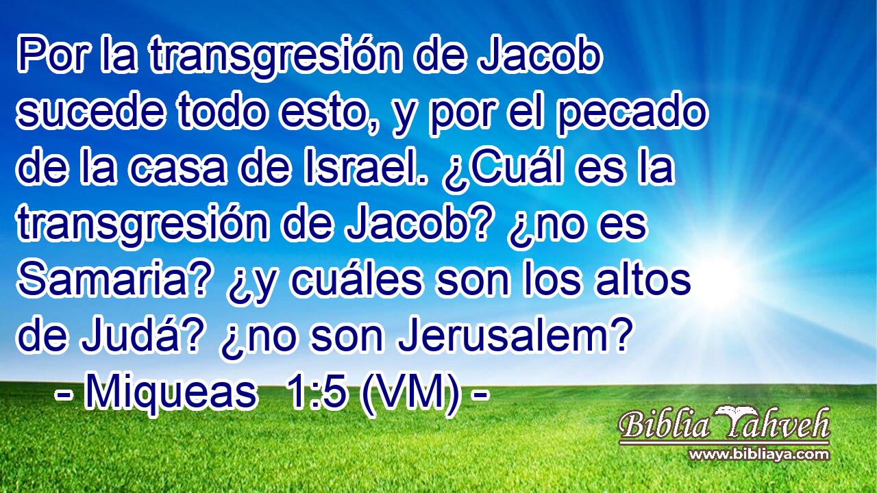  Por la transgresión de Jacob sucede todo esto, y por el pecado de la casa de Israel. ¿Cuál es la transgresión de Jacob? ¿no es Samaria? ¿y cuáles son los altos de Judá? ¿no son Jerusalem? 