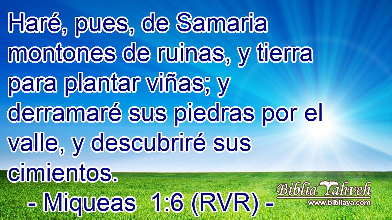 Haré, pues, de Samaria montones de ruinas, y tierra para plantar viñas; y derramaré sus piedras por el valle, y descubriré sus cimientos.