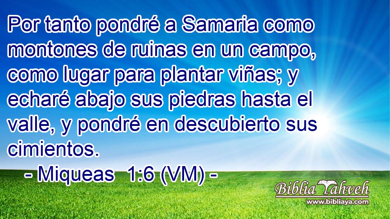  Por tanto pondré a Samaria como montones de ruinas en un campo, como lugar para plantar viñas; y echaré abajo sus piedras hasta el valle, y pondré en descubierto sus cimientos. 