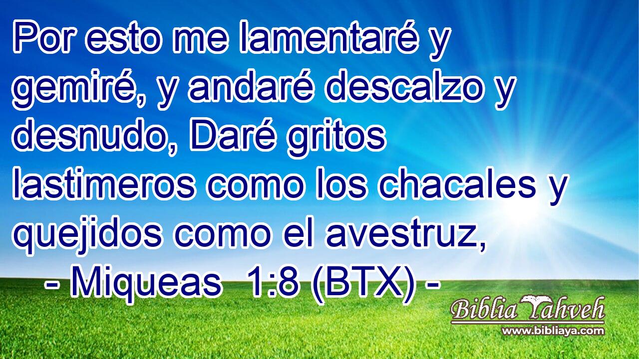 Por esto me lamentaré y gemiré, y andaré descalzo y desnudo, Daré gritos lastimeros como los chacales y quejidos como el avestruz,
