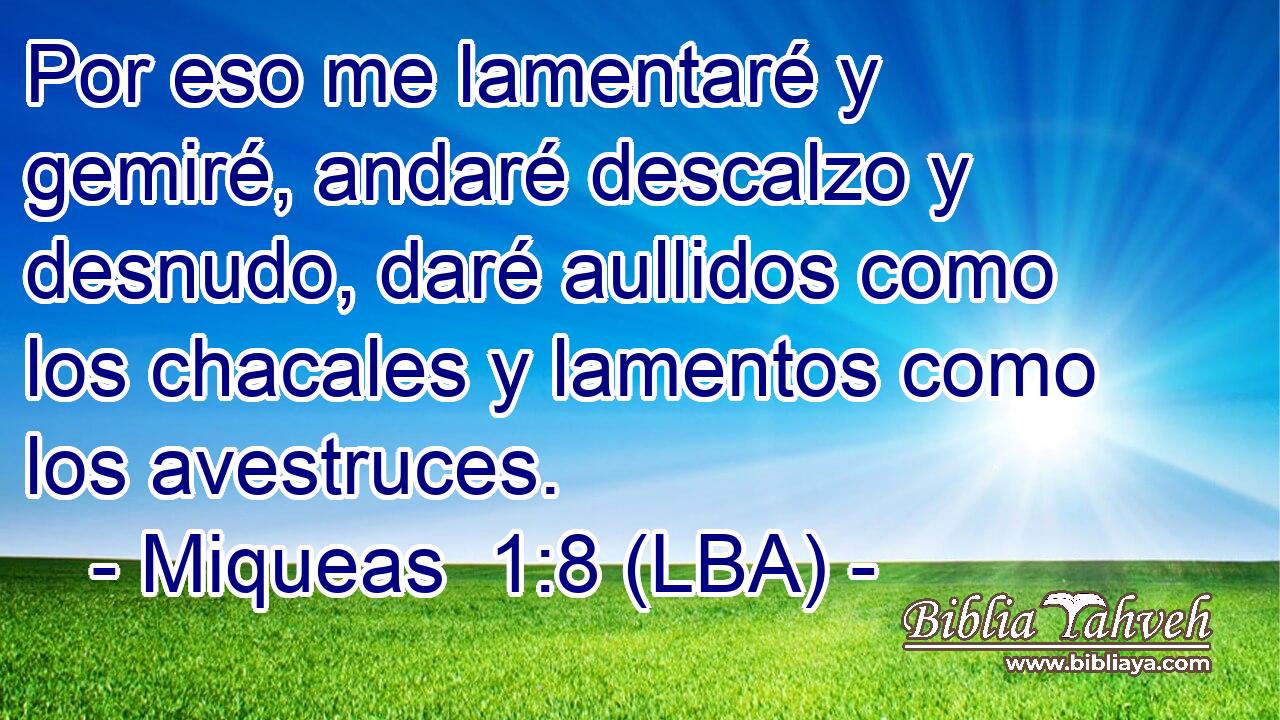 Por eso me lamentaré y gemiré, andaré descalzo y desnudo, daré aullidos como los chacales y lamentos como los avestruces.