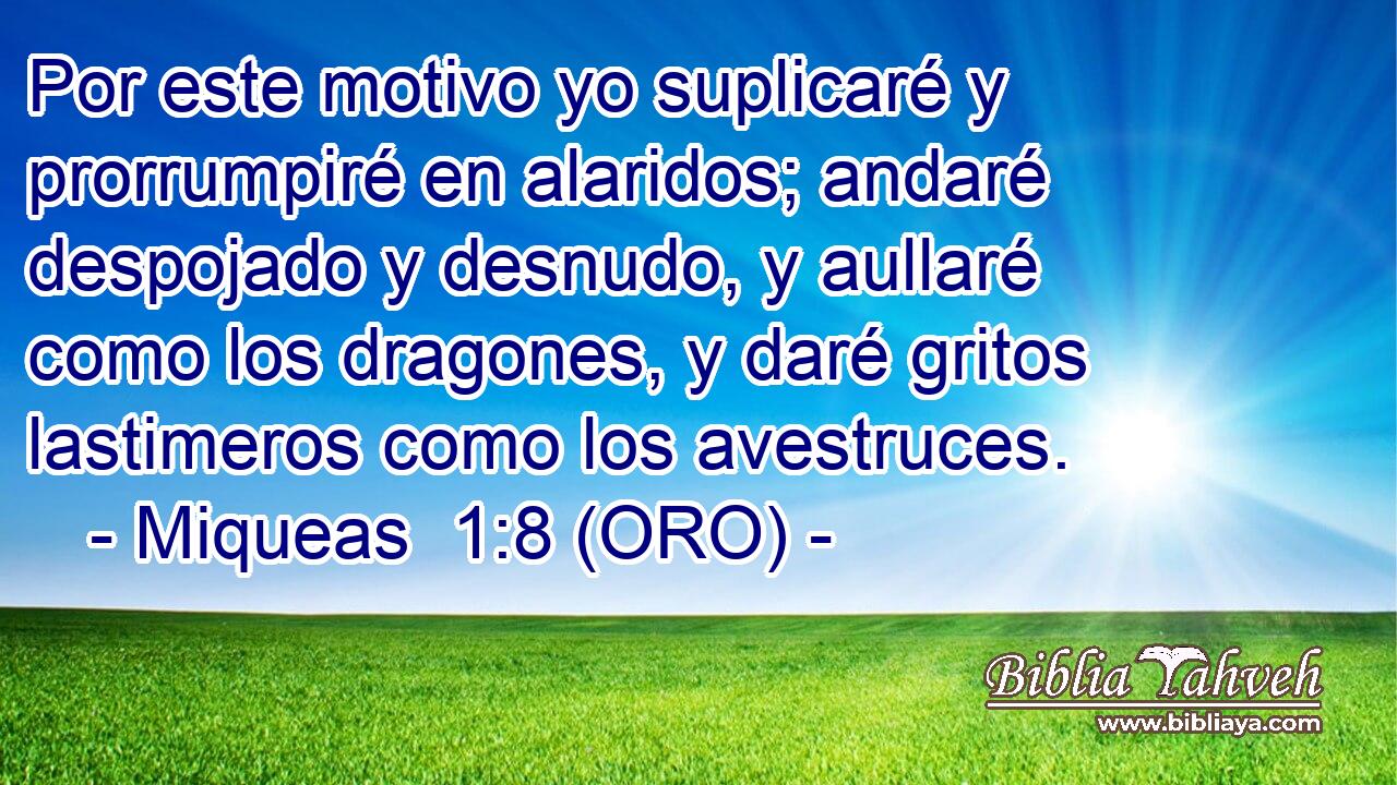  Por este motivo yo suplicaré y prorrumpiré en alaridos; andaré despojado y desnudo, y aullaré como los dragones, y daré gritos lastimeros como los avestruces. 