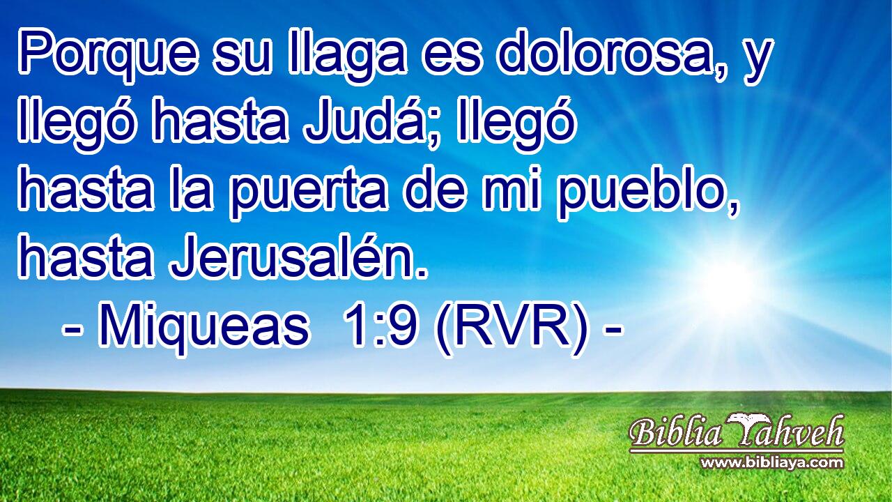 Porque su llaga es dolorosa, y llegó hasta Judá; llegó hasta la puerta de mi pueblo, hasta Jerusalén.