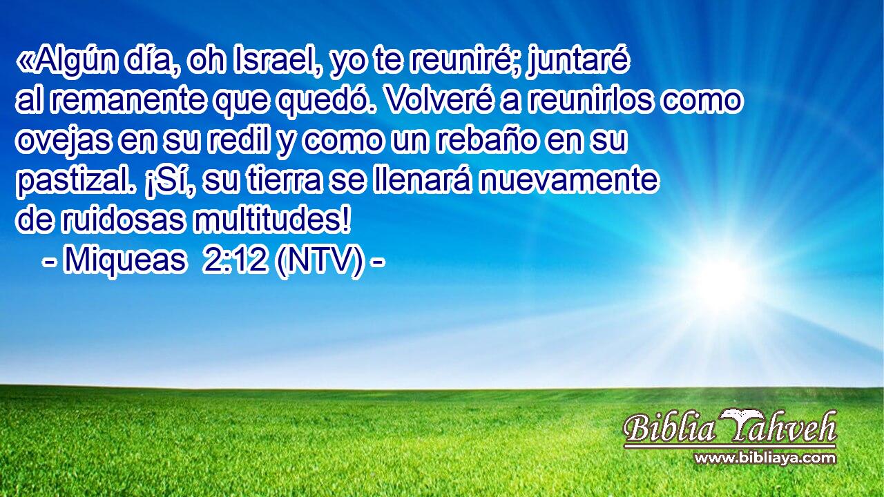 «Algún día, oh Israel, yo te reuniré; juntaré al remanente que quedó. Volveré a reunirlos como ovejas en su redil y como un rebaño en su pastizal. ¡Sí, su tierra se llenará nuevamente de ruidosas multitudes!