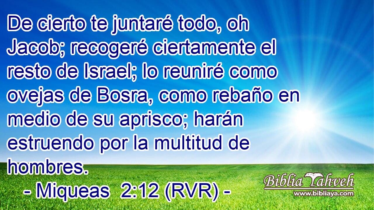 De cierto te juntaré todo, oh Jacob; recogeré ciertamente el resto de Israel; lo reuniré como ovejas de Bosra, como rebaño en medio de su aprisco; harán estruendo por la multitud de hombres.