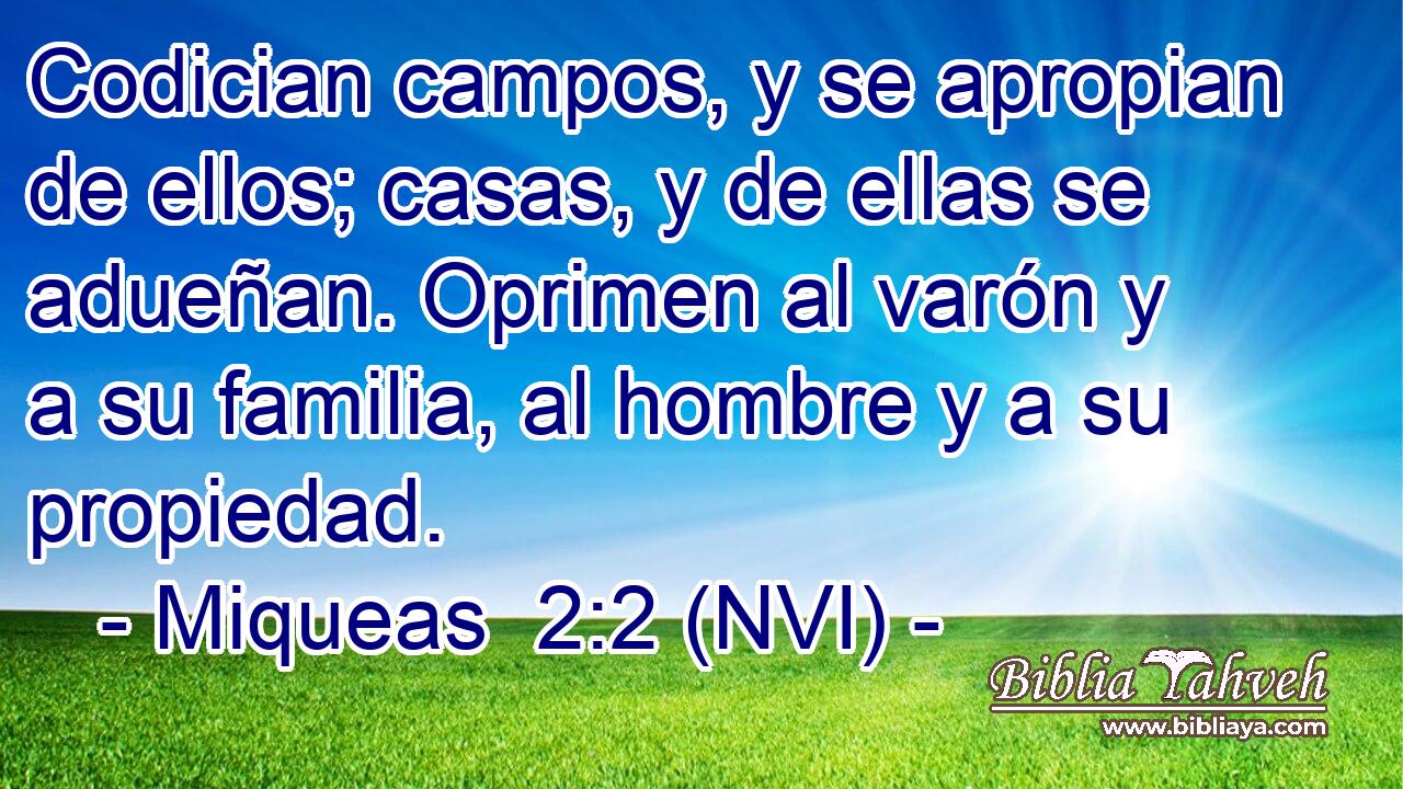  Codician campos, y se apropian de ellos; casas, y de ellas se adueñan. Oprimen al varón y a su familia, al hombre y a su propiedad. 