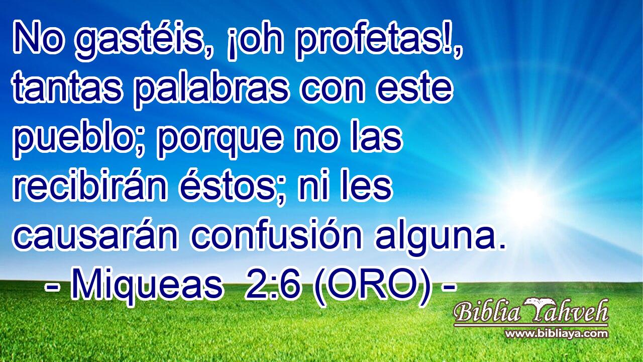  No gastéis, ¡oh profetas!, tantas palabras con este pueblo; porque no las recibirán éstos; ni les causarán confusión alguna. 