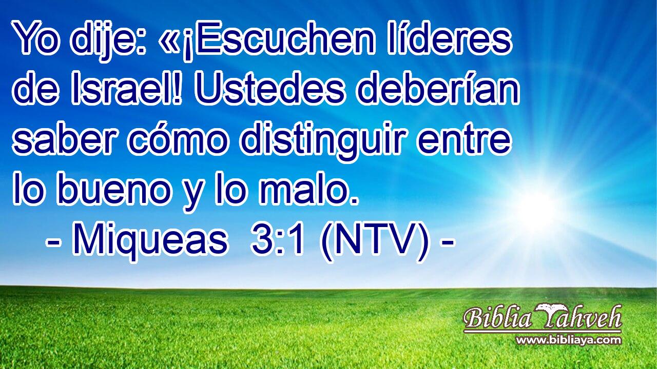 Yo dije: «¡Escuchen líderes de Israel! Ustedes deberían saber cómo distinguir entre lo bueno y lo malo.