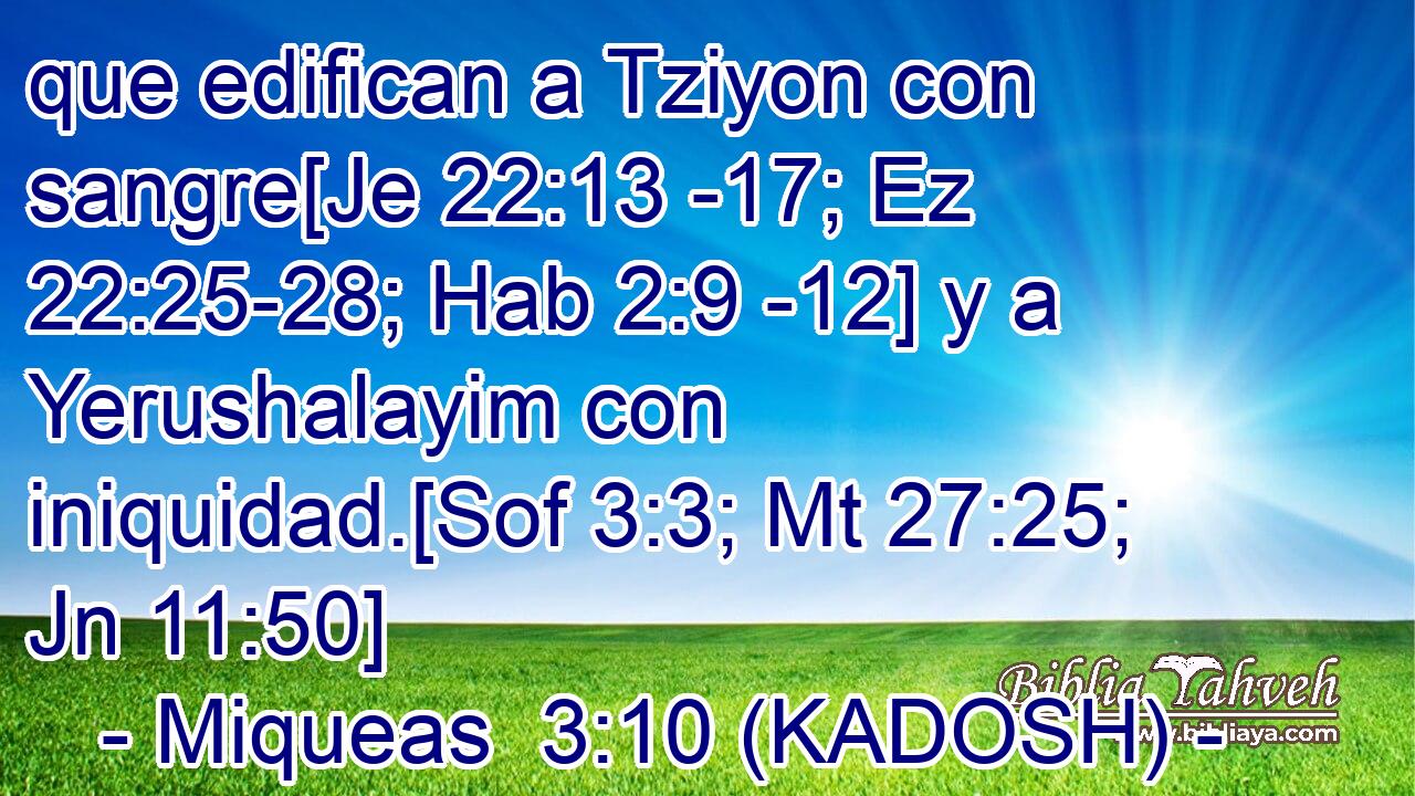  que edifican a Tziyon con sangre[Je 22:13 -17; Ez 22:25-28; Hab 2:9 -12] y a Yerushalayim con iniquidad.[Sof 3:3; Mt 27:25; Jn 11:50] 