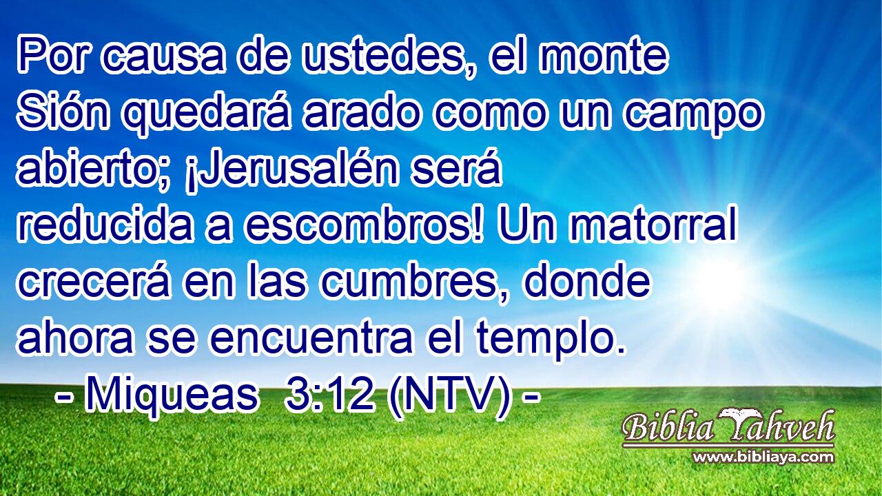 Por causa de ustedes, el monte Sión quedará arado como un campo abierto; ¡Jerusalén será reducida a escombros! Un matorral crecerá en las cumbres, donde ahora se encuentra el templo.