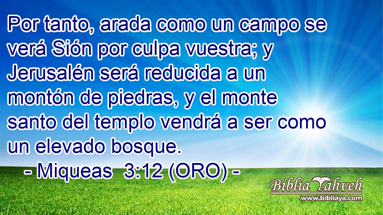  Por tanto, arada como un campo se verá Sión por culpa vuestra; y Jerusalén será reducida a un montón de piedras, y el monte santo del templo vendrá a ser como un elevado bosque. 