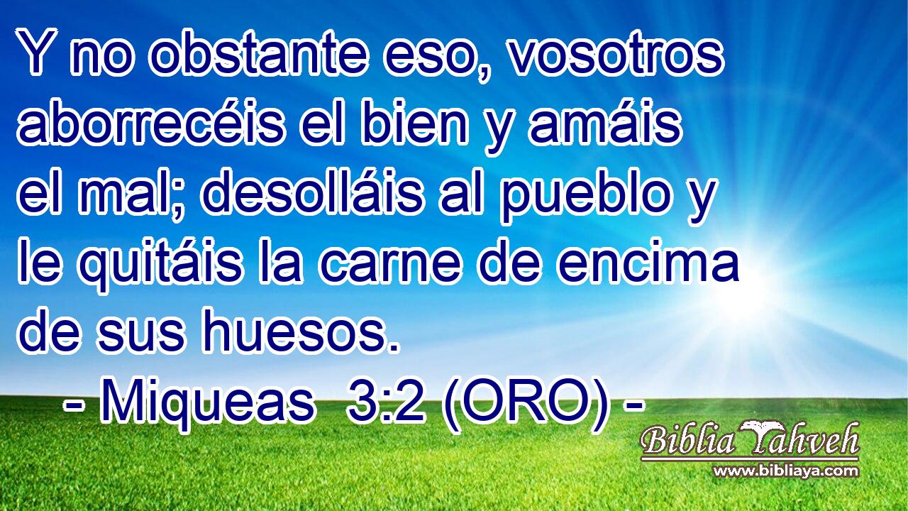  Y no obstante eso, vosotros aborrecéis el bien y amáis el mal; desolláis al pueblo y le quitáis la carne de encima de sus huesos. 